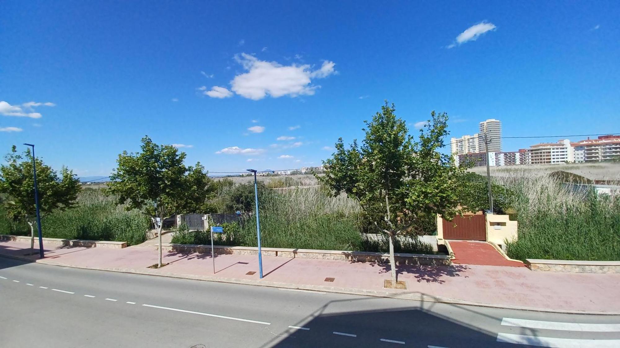 Azahares Vista Parque Orangecosta Daire Peñíscola Dış mekan fotoğraf